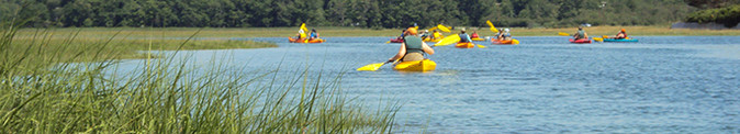 Kayaking on the Little River estuary