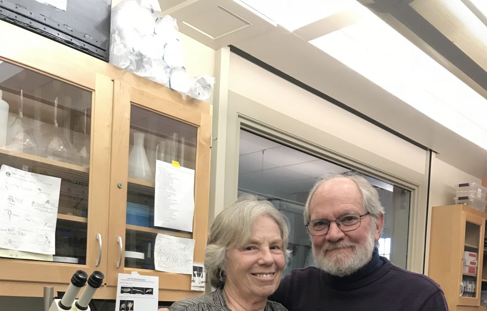 Sylvia and Lee Pollock in the research lab 2020