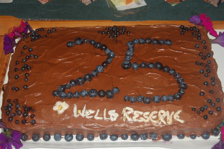 25th anniversary cake decorated with blueberries