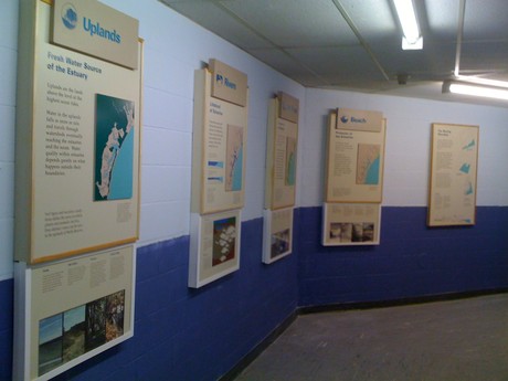 Exhibits mounted at Mildred L. Day School