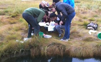 Students investigate fishy finds in the marsh