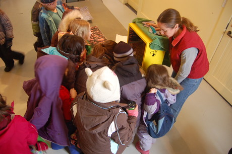 Kids look inside the Center for Wildlife's bat box