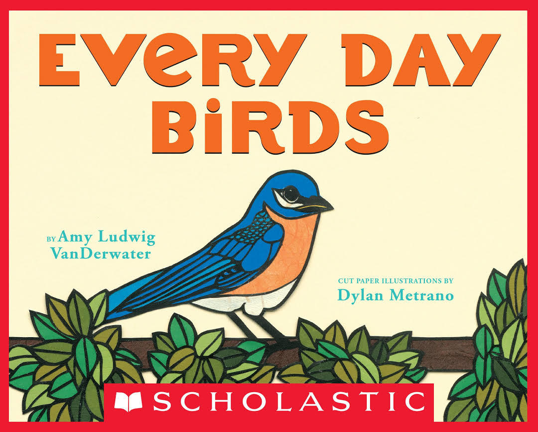 Every Day Birds book cover
