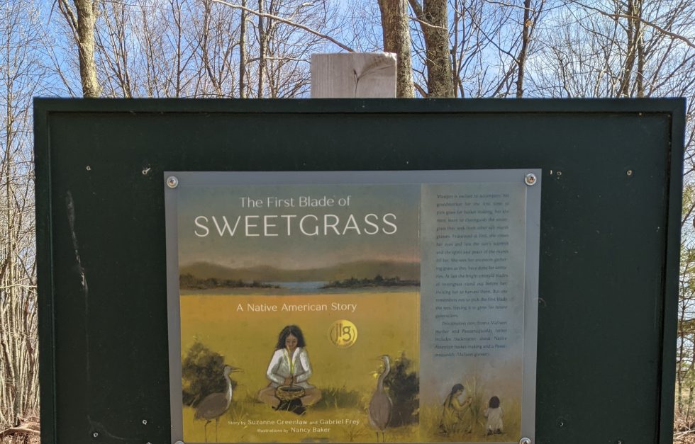 The First Blade Of Sweetgrass