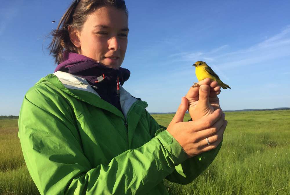 Logan Maxwell holds a yellow warbler.