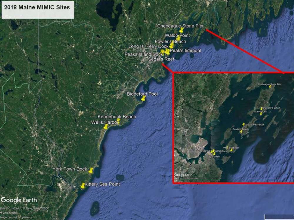 Google Map of Maine locations monitored for marine invasives in 2018.