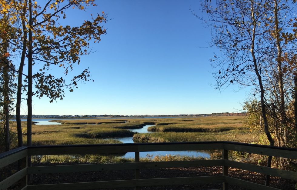Webhannet Marsh Trail overlook, fall 2018