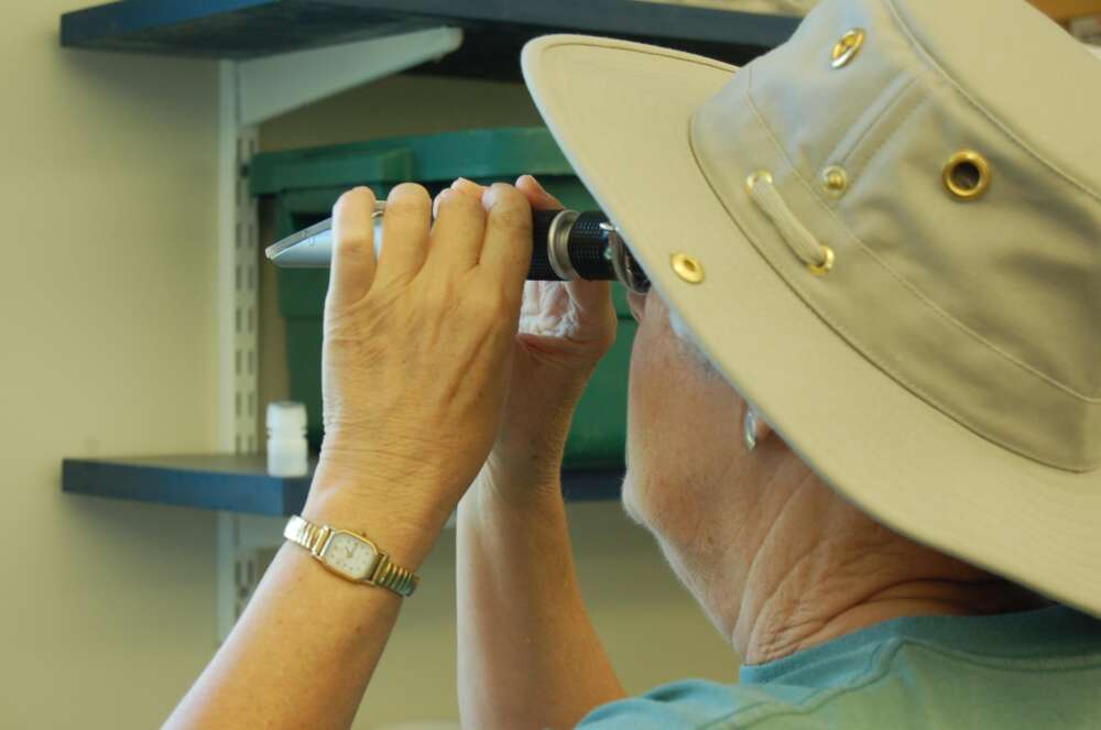 Rhoda Frederick uses a refractometer to measure water salinity as part of her training in the Wells Reserve docent program.