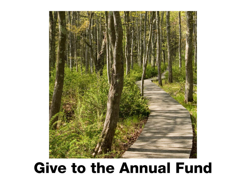 Open a form to make a gift to the annual fund