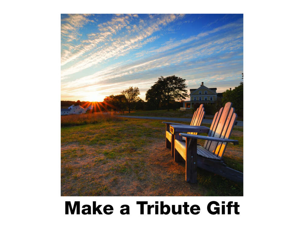 Open a form to make a celebratory or memorial gift