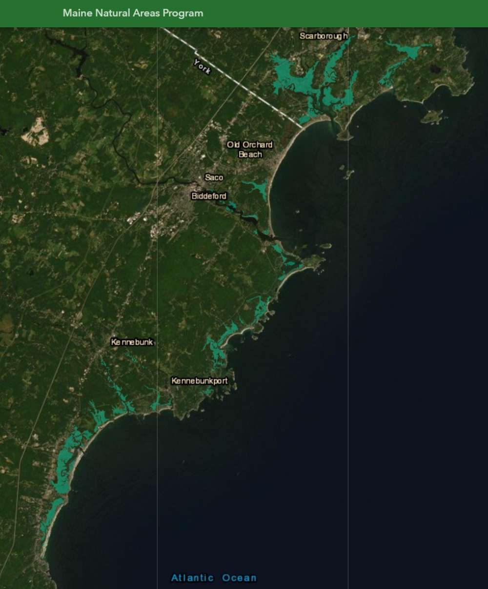 Screenshot from the Maine Natural Areas Program salt marsh map viewer showing Wells to Cape Elizabeth. Click to visit the viewer.