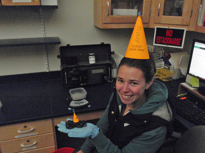 A brief celebration was had at the 10,000th crab milestone. Party hats for all!