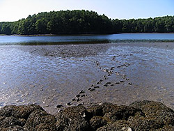 Great Bay National Estuarine Reserve Reserve, NH