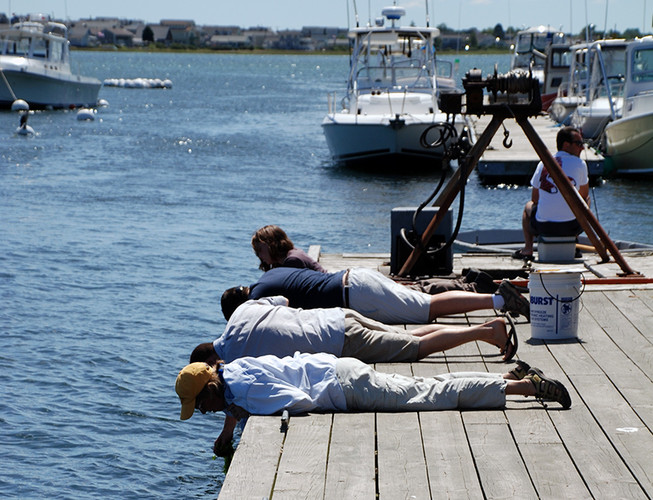 MIMIC volunteers work on the dock at Wells Harbor