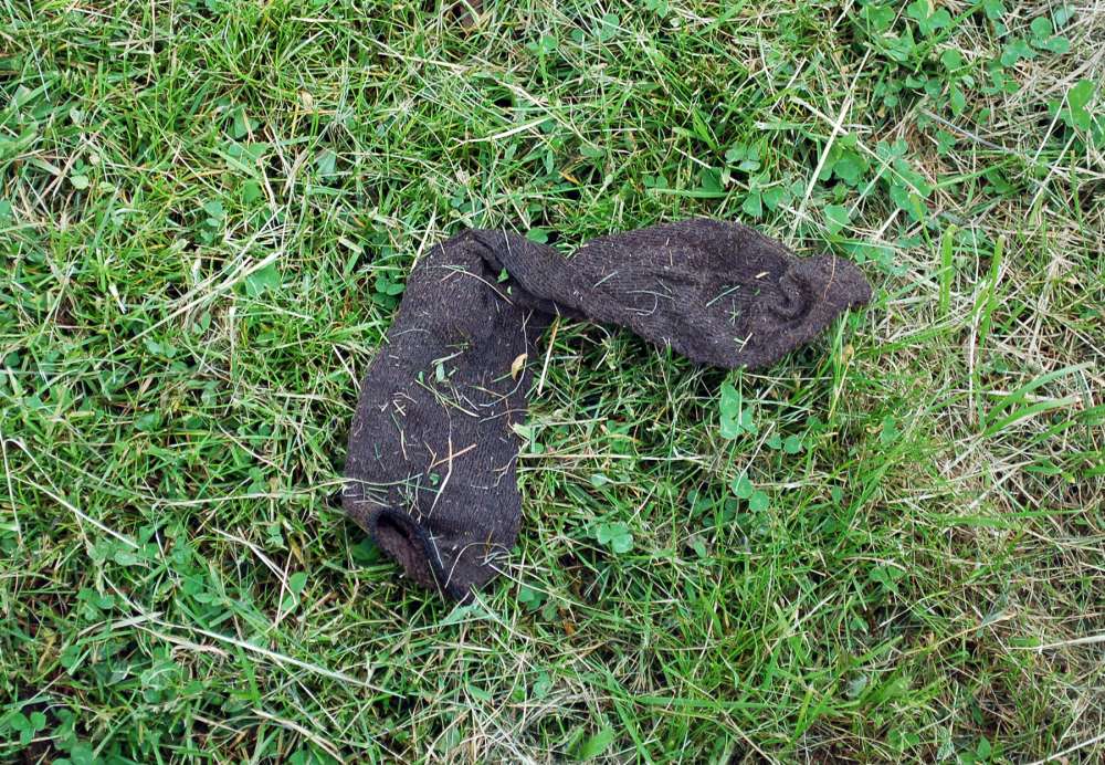 Brown sock in grass