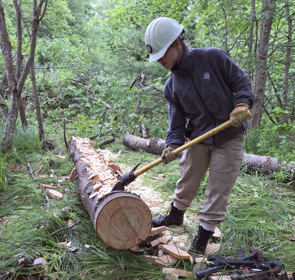 AmeriCorps volunteer prepares a log for a bog trail.