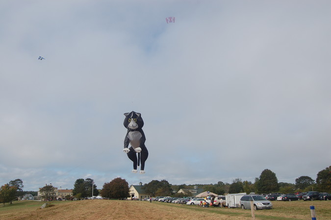 Huge kitty kite over the field