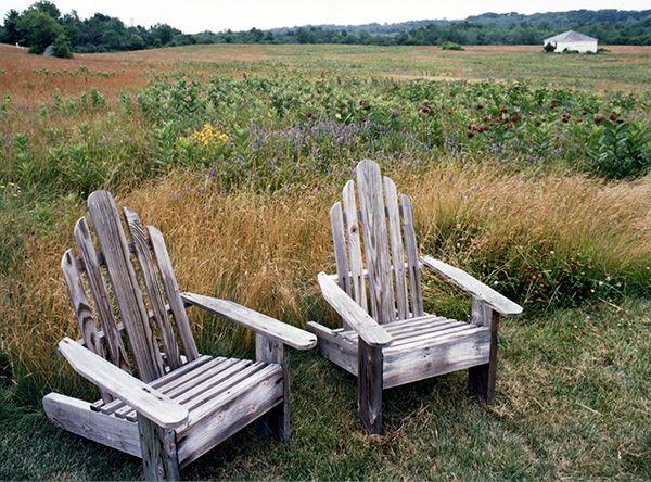 Adirondack chairs with open field beyond.