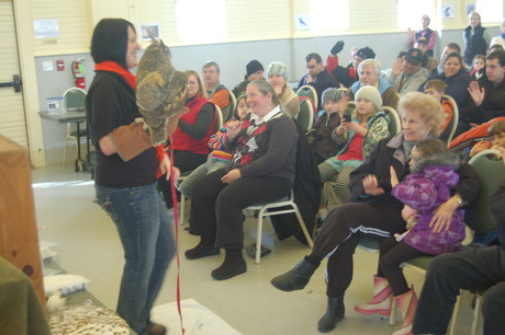 The crowd enjoys a great horned owl from the Center for Wildlife