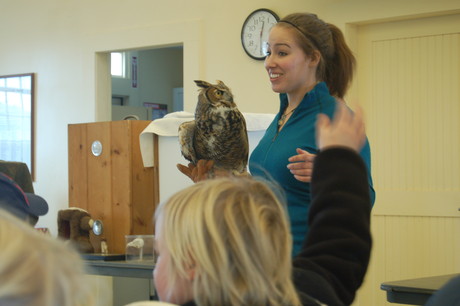 Michelle and great horned owl from Center for Wildlife
