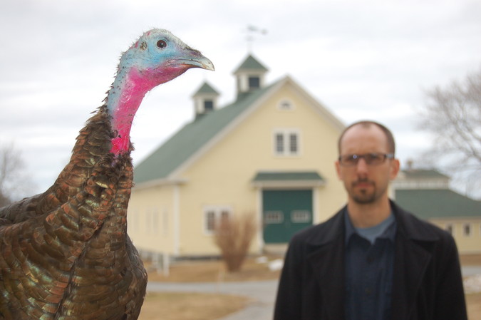 Laudholm Trust's new president, a wild turkey, confers with outgoing president Nik Charov in front of the Laudholm barn. Photo uploaded April 1, 2014.