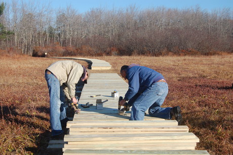 Volunteers build a boardwalk of the Muskie Trail bog