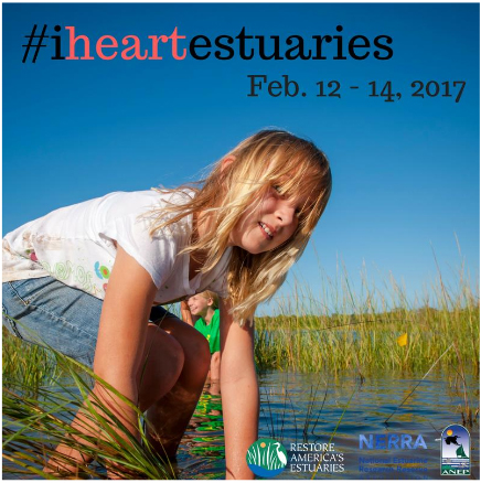 I Heart Estuaries campaign graphic, 2017