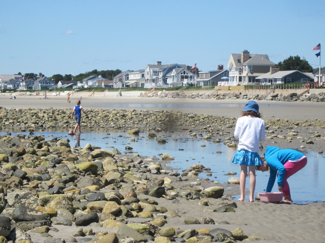 Campers exploring the tide pools!