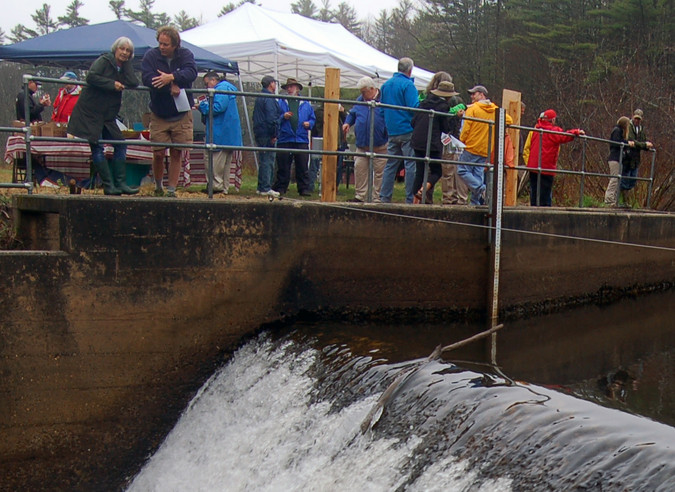 People congregate by the fish ladder after the dedication ceremony.