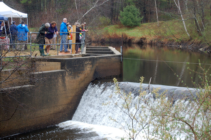 Branch Brook fish ladder and dam
