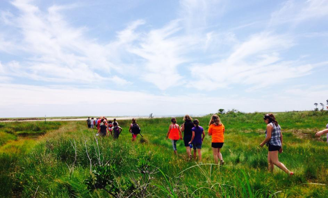 Students walk out onto the Little River estuary salt marsh