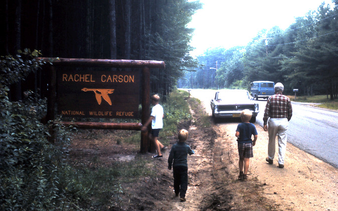 A summer 1970 visit to Rachel Carson National Wildlife Refuge.