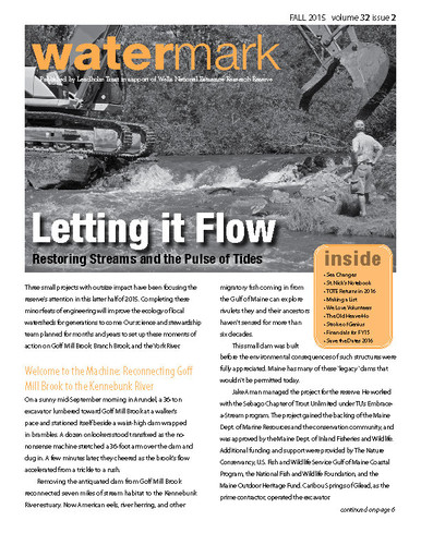 Cover from Watermark 32(2): Fall 2015. Letting it Flow, restoring streams and the pulse of tides