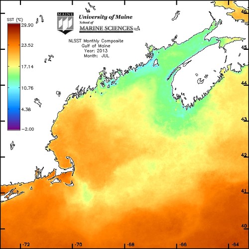 Gulf of Maine Sea Surface Temperature composite image for July 2013 by UMaine School of Marine Sciences