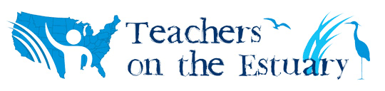 Teachers on the Estuary logo