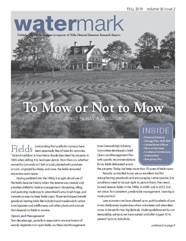 Cover from the fall 2019 Watermark newsletter.