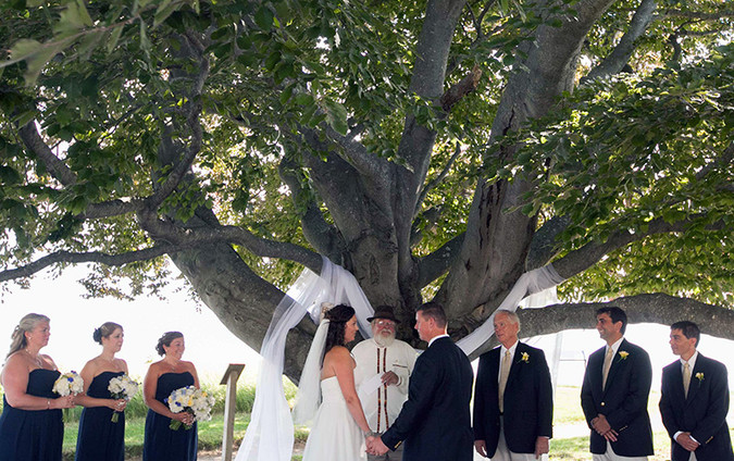 A ceremony under the copper beech. Beth Talbot weds John Geary in 2012.